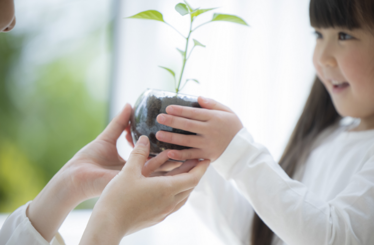 自立を支える学習サポート